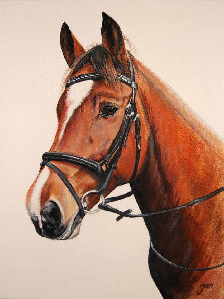 Schildering van paard op canvas | Janneke van Genugten